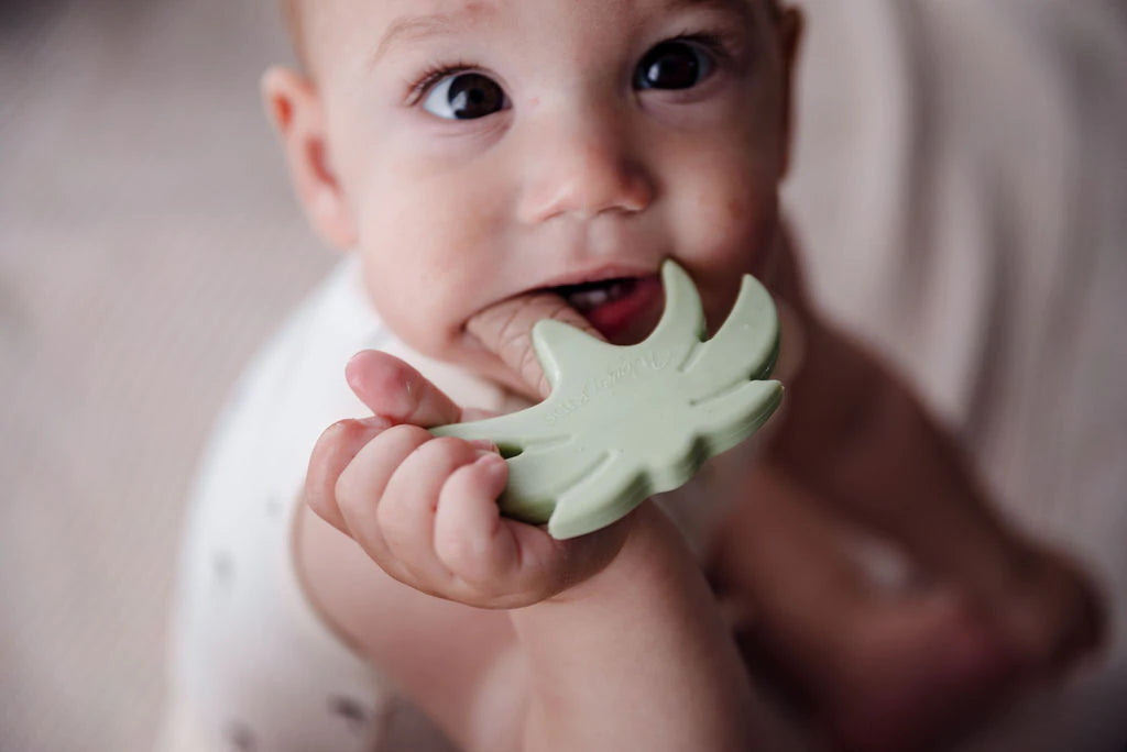 Silicone Teether | Sage Palm Tree