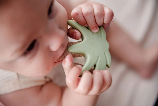 Silicone Teether | Sage Palm Tree